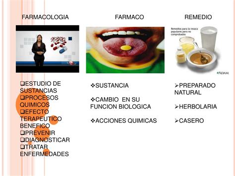 Ppt Introducci N A La Farmacolog A Powerpoint Presentation Free