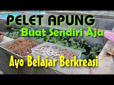 Cara Membuat Pelet Apung Tanpa Mesin Canggih Takaran Dan Bahan Di