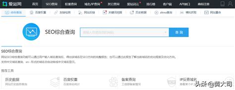 常用的seo查询工具有哪些（seo综合查询工具实训总结） 8848seo