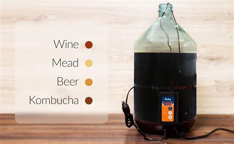 Amazon.com: Fermentation Carboy Heater with Thermostat - Kombucha ...