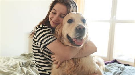 Chica Con Perro Recuperador De Oro En La Cama Metrajes Vídeo de