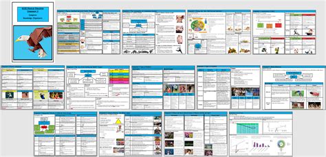 Gcse Pe Edexcel Complete Component Knowledge Organisers