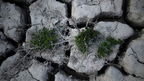 La Ocde Se Ala Que El Coste Econ Mico De Los Desastres Naturales Se Ha