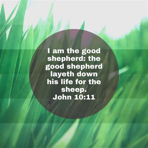 Journey Of Hope Keep Me Safe The Good Shepherd New Living