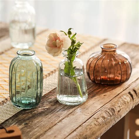 Mini Vase Fleurs En Verre Transparent Plante En Pot R Cipient De