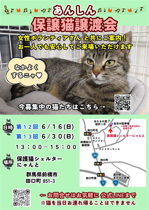 6月「あんしん保護猫譲渡会」の開催日が決定！ 保護猫シェルターにゃんと