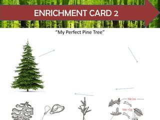 The Hows Of The Naked Seed Sim PPT