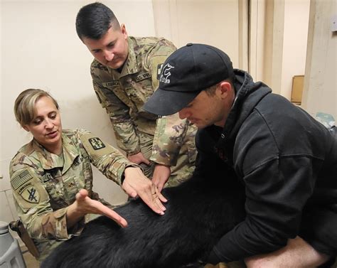 DVIDS News Caring For Mans Best Friend Joint Task Force Med 374