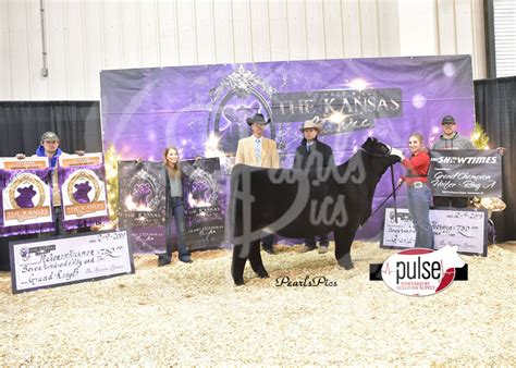 The Kansas Classic Simmental Heifers The Pulse