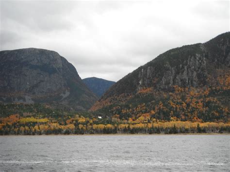 Eastport Organics: Fall moose hunting in Gros Morne National Park