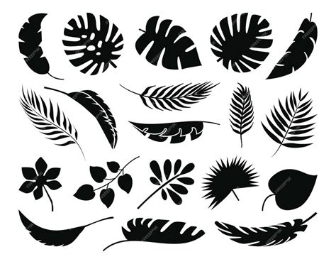 Premium Vector Tropical Leaves Set Collection Palm Leaves Silhouettes