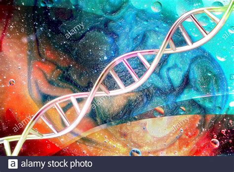 Genetic Medicine Fotos Und Bildmaterial In Hoher Aufl Sung Alamy