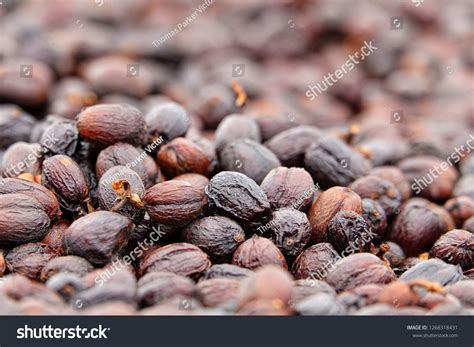 3710 Coffee Beans Shell Images Stock Photos And Vectors Shutterstock