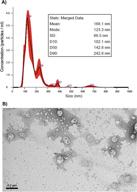 Serum Exosomes Were Isolated By Size Exclusion Chromatography And