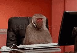 Monkey Typing GIF - Monkey Typing Working - Discover & Share GIFs