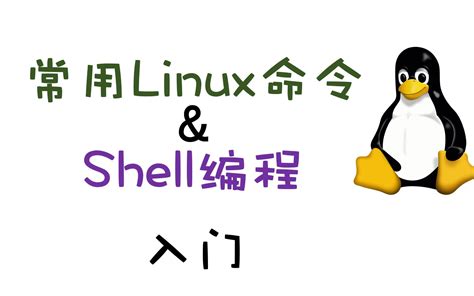 常用的linux命令介绍：13个基本命令和shell脚本编程 没优点想退休青年人 接口自动化 哔哩哔哩视频