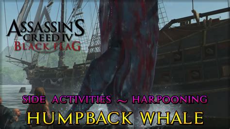 Assassin S Creed Iv Black Flag Side Activities Harpooning