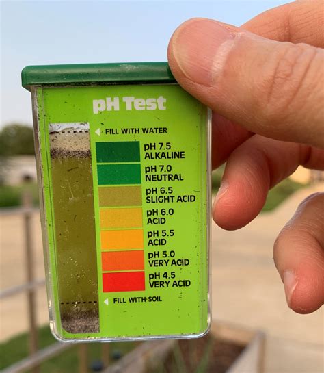 4 Ways To Raise Soil Ph Make It More Alkaline Okra In My Garden