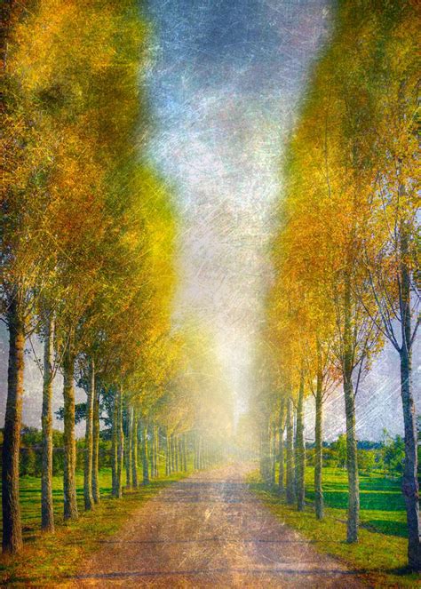 Autumn Path Poster By Svetlana Sewell Displate