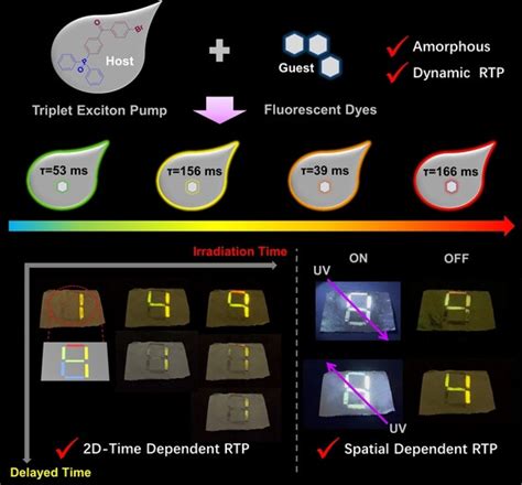 Dynamic Ultralong Room Temperature Phosphorescence Enabled By