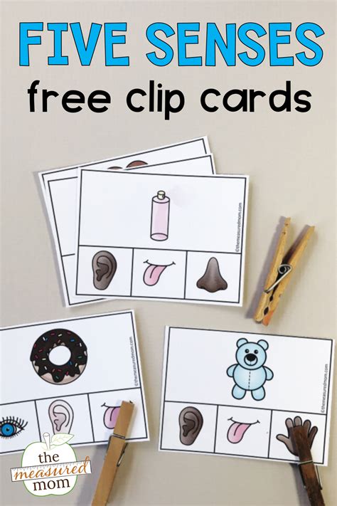 five senses senses preschool english activities for - new 5 senses printable is great for ...