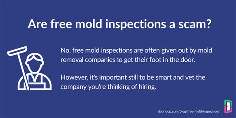 Free Mold Inspection For Renters A Guide For Landlords