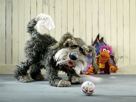 Weekly Muppet Wednesdays Sprocket The Muppet Mindset