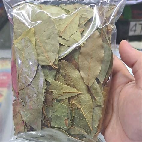 Laurel Leaves Bay Leaves Dahon Ng Laurel Laurel Leaves Lazada Ph