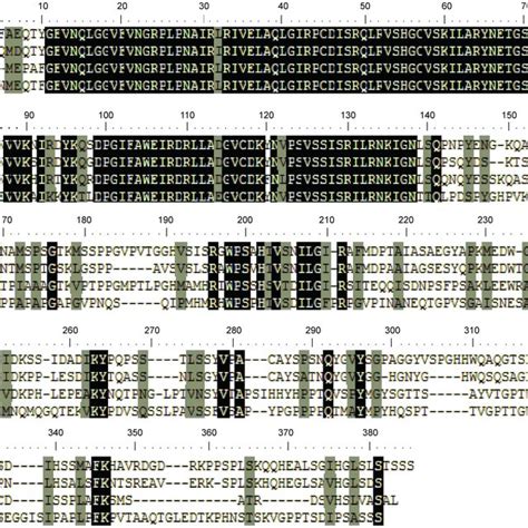 Figure S3 Phylogenetic Analysis Of Pax1a Pax1b And Pax9 Proteins From