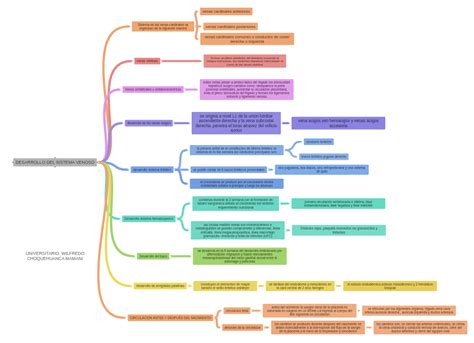 Desarrollo Del Sistema Venoso Universitario Wilfredo Choquehuanca Mamani