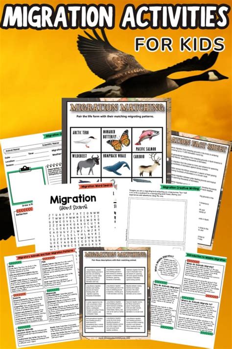 Animal Migration Activities - Little Bins for Little Hands