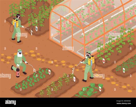 Isometric Farm Pest Control Concept With Workers Spraying The Garden