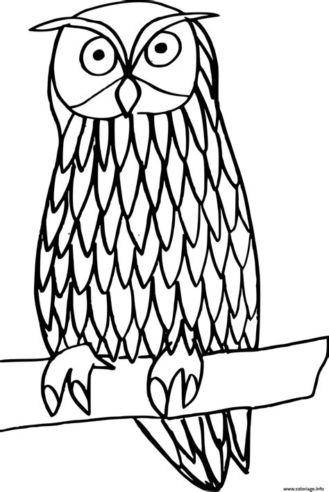 Coloriage Chouette Sur Une Branche La Nuit Dessin Hibou Imprimer