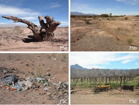 A Fotografía que muestra desmonte y tala en el área baja de río B