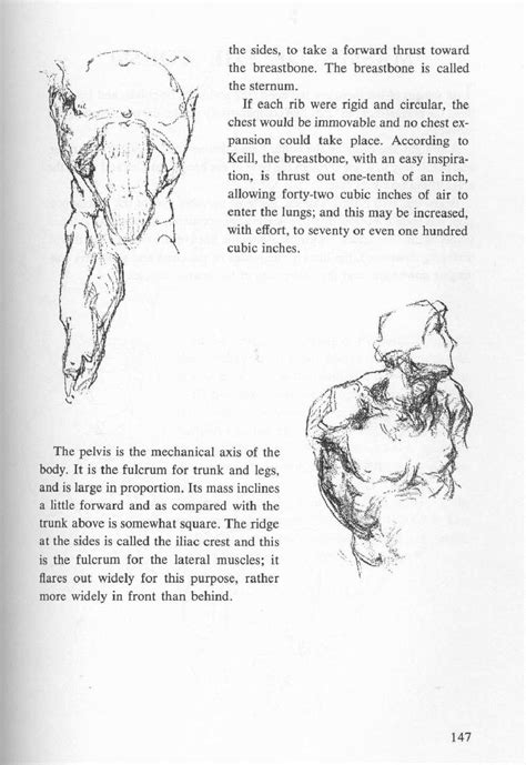 Bridgman George Bridgemans Complete Guide To Drawing From Life By