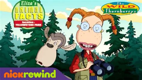 Animal Facts From The Wild Thornberrys Nicktoons Youtube