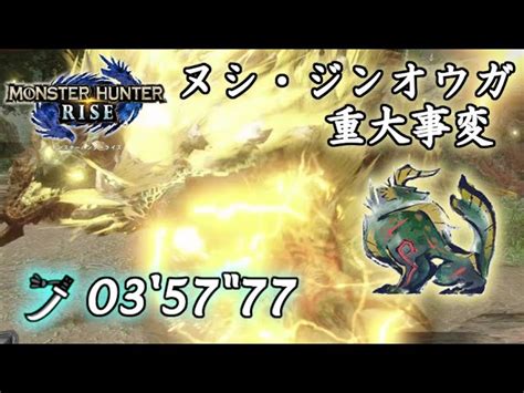 【mhrise】執念の3分台討伐！ヌシ・ジンオウガ重大事変 太刀ソロ 03’57″77｜モンハンライズyoutube動画まとめ