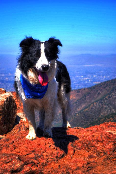 Lican Hdr In The Top Of The Mountain Cerro Manquehue Sa Flickr