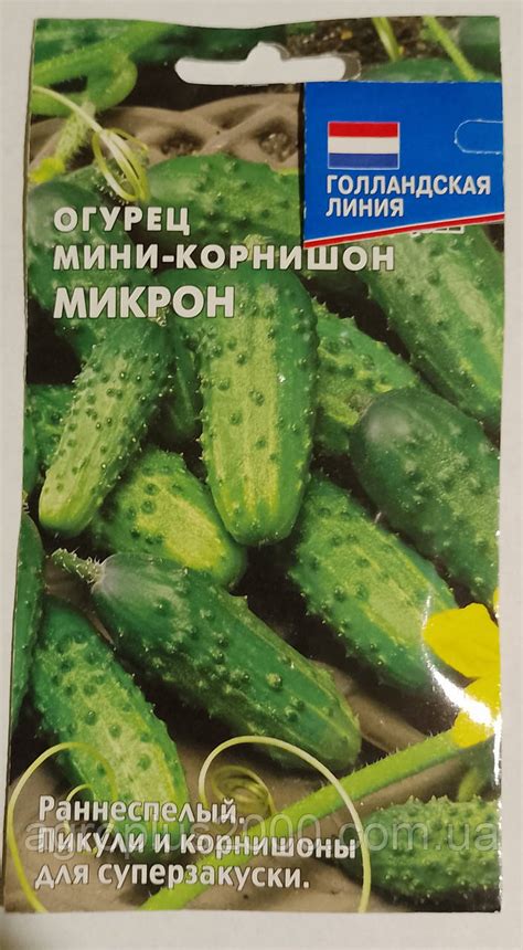 Семена Огурец пчелоопыляемый мини- корнишон Микрон 0,5 грамма: продажа ...