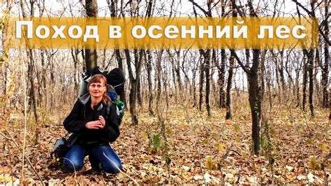 ⛺ Одиночный поход в лес | Грибной суп | Ночные приключения - YouTube