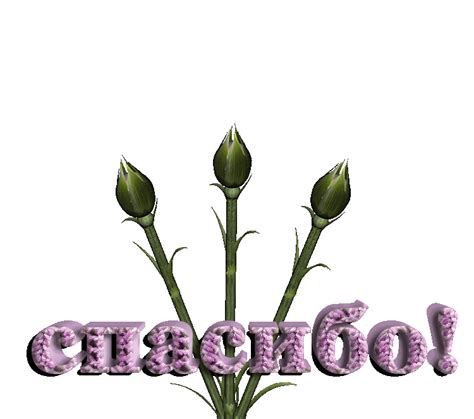 Картинки люба спасибо: Открытки и прикольные картинки с именем Люба ...