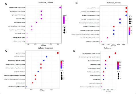 Go And Pathway Enrichment Analysis Of The Degs A Molecular