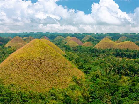 Chocolate Hills Adventure Park | Mustseespots.com