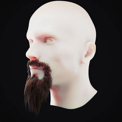 Beard Low Poly 3 3d Model 10 Unknown 3ds Fbx Obj Max Free3d