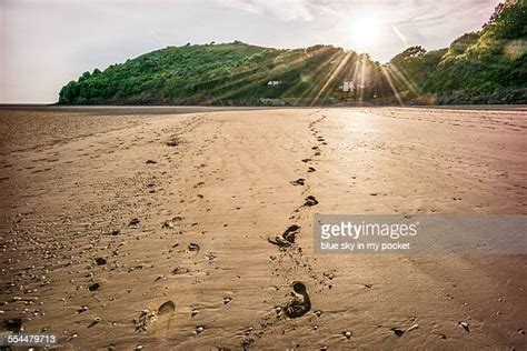 358 Carmarthenshire Coast Stock Photos High Res Pictures And Images