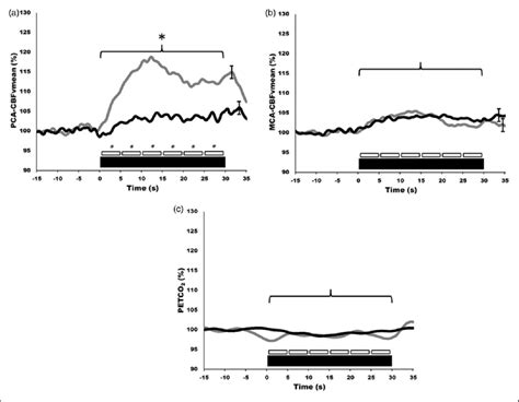 Neurovascular Coupling In Humans Generated From Automated Software