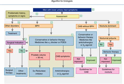 Clinical Guidelines For Male Lower Urinary Tract Symptoms And Benign