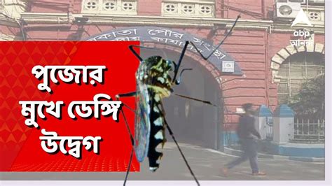 Dengue পুজোর মুখে রাজ্যে ডেঙ্গির দাপট শেষ দুসপ্তাহে নতুন করে