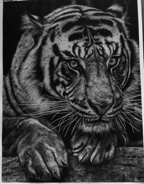 “Tigre realista”,mi animal favorito 🇵🇪. | •Arte Amino• Amino