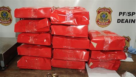 PF apreende quase 50 kg de cocaína um único passageiro Polícia